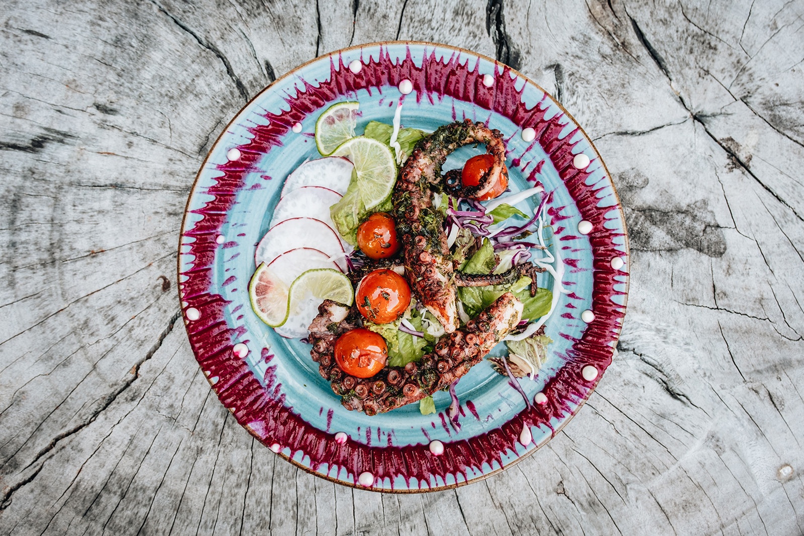 Grilled octopus dish on a decorative plate, perfect for Tequendama: Corporativa events.