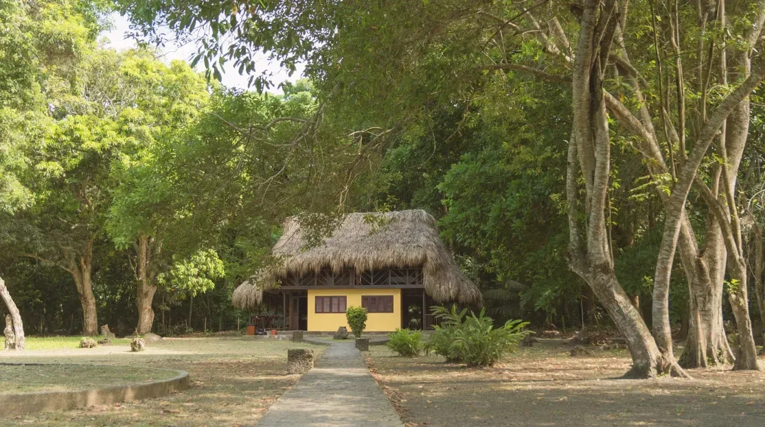 Cabañas Tequendama | Hotel en Parque Tayrona: acogedora cabaña amarilla con techo de paja.
