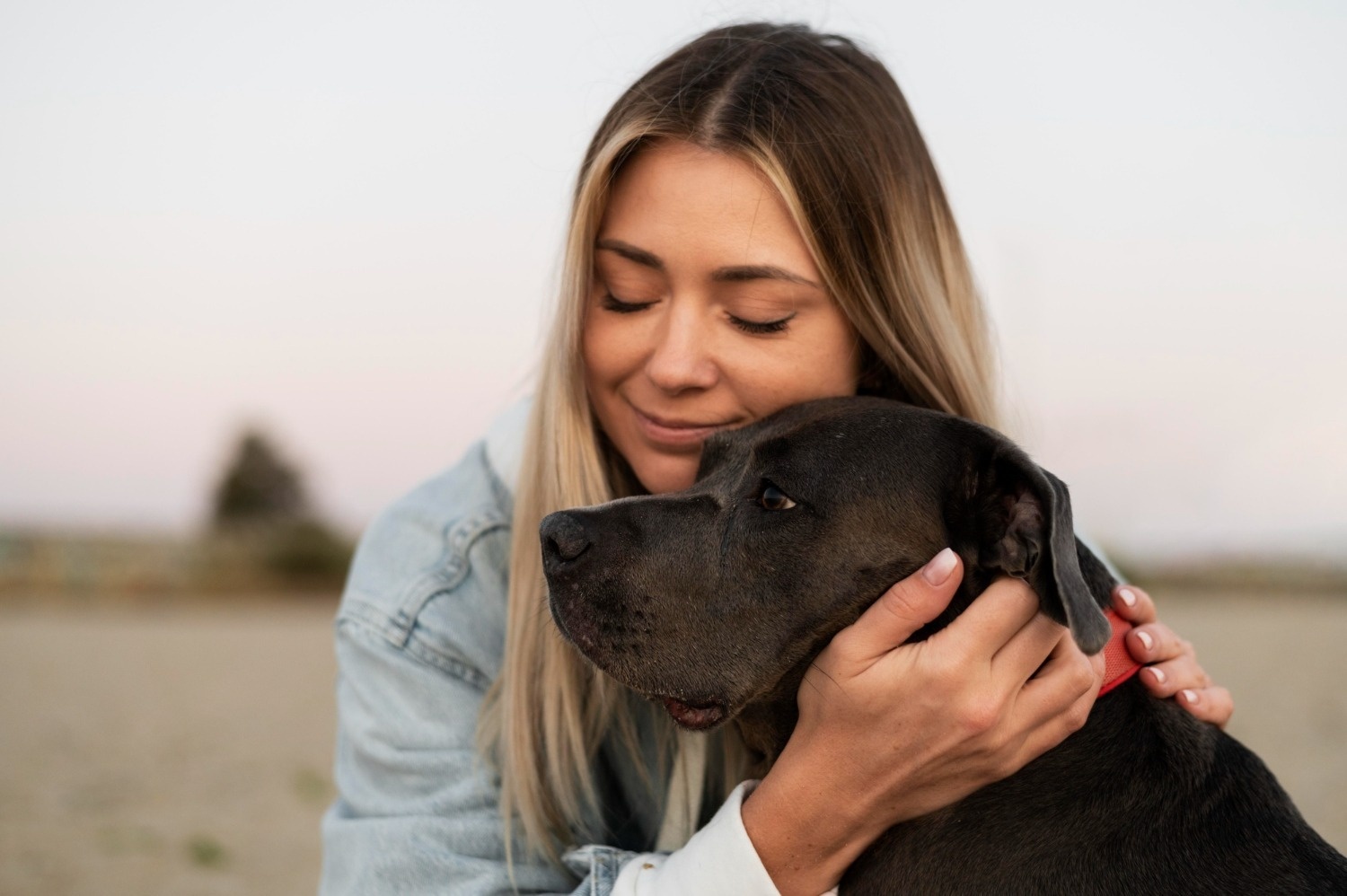 Tequendama: Corporativa; joven abraza a su perro en la playa al atardecer.