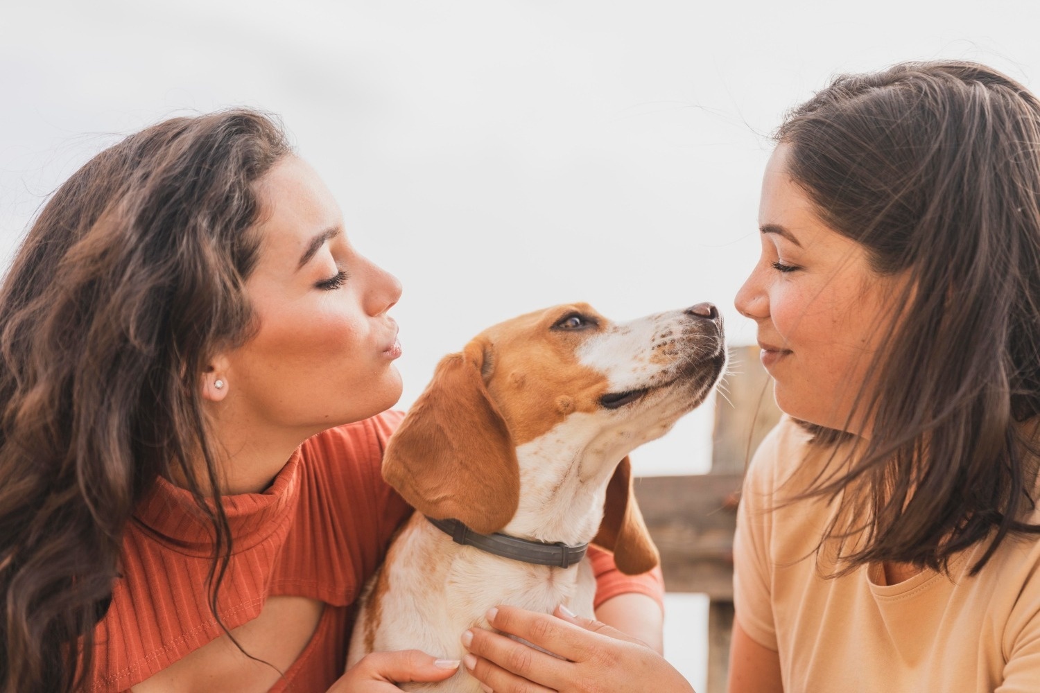 Women and dog, perfect for Tequendama Corporativa stays.