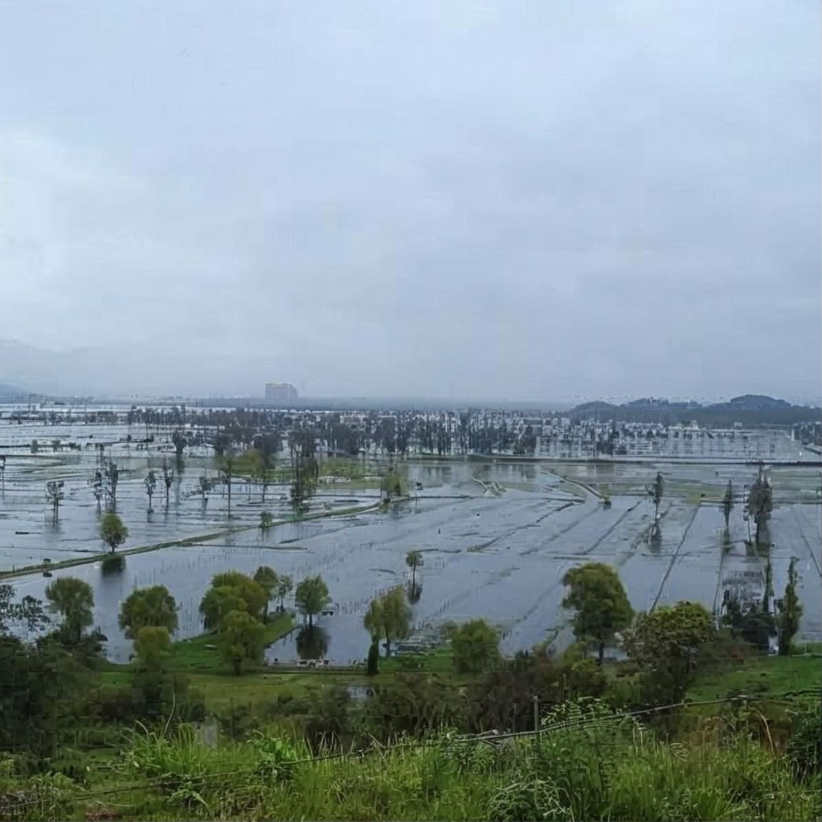 Vista panorámica de Tequendama: Corporativa inundada, con árboles y campos extensos.