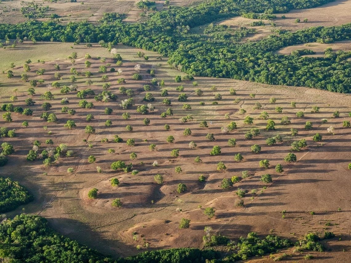Aerial view of a savanna with scattered trees, Hotels in Villavicencio | Tequendama | Official Web