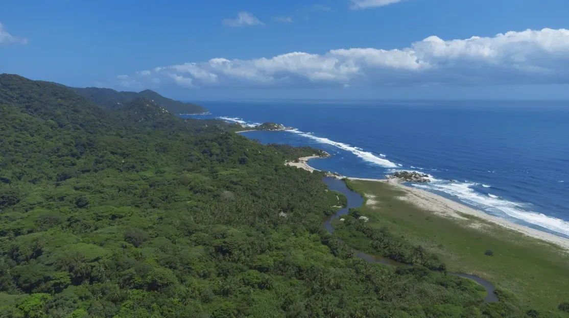 Cabañas & Aluna Tequendama: Lush jungle meets Tayrona Park coast.