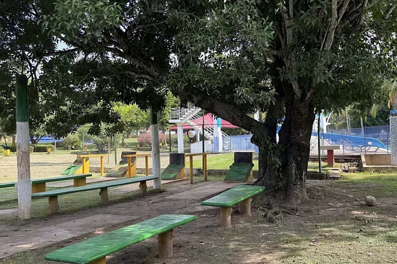 Tequendama: Corporativa green areas with benches and pool.