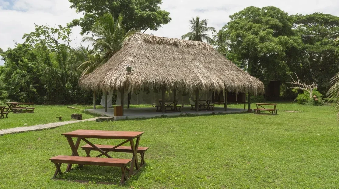 Cabañas & Aluna Tequendama: Open-air palapa seating and picnic tables in lush gardens.