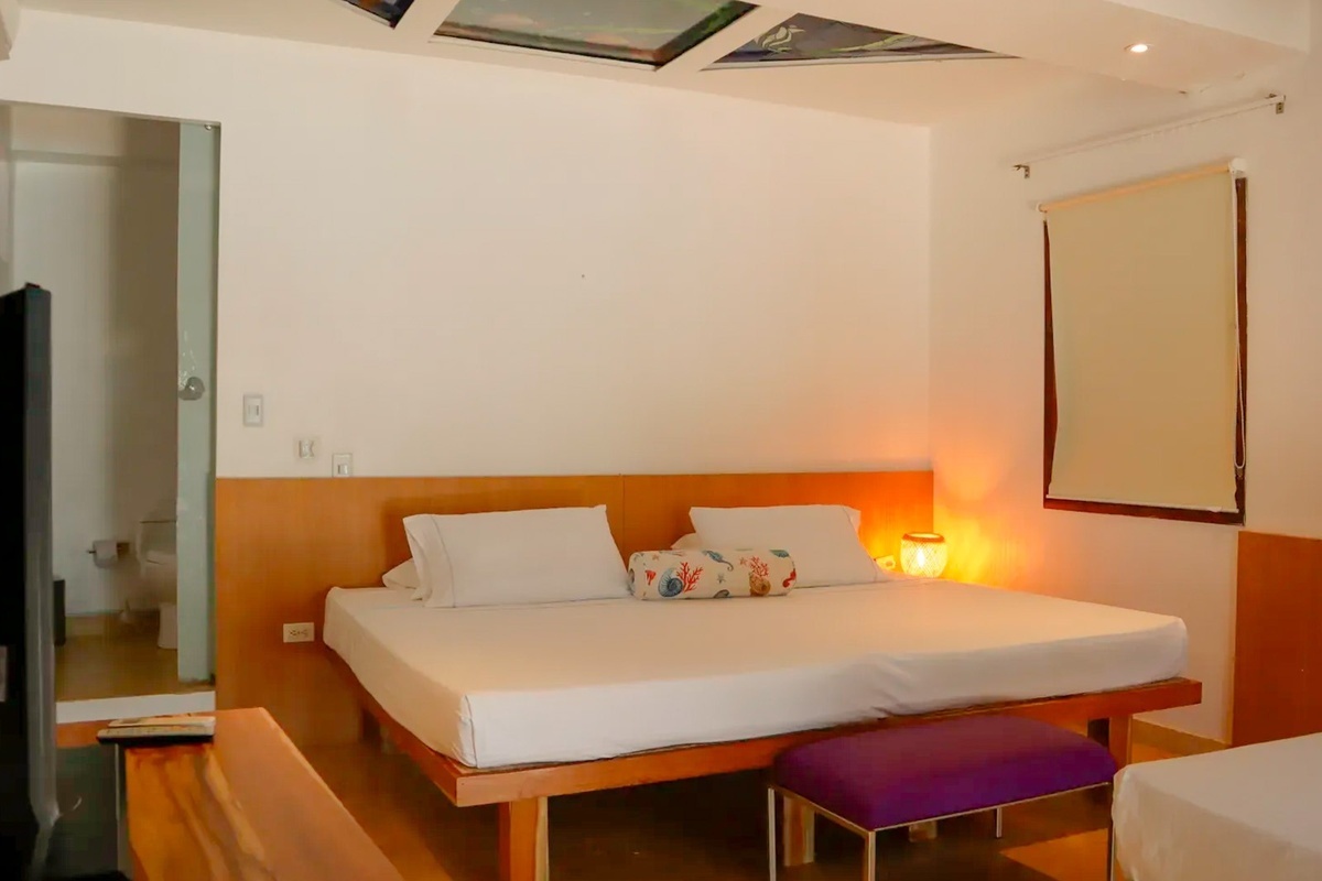 Habitación Estándar Plus