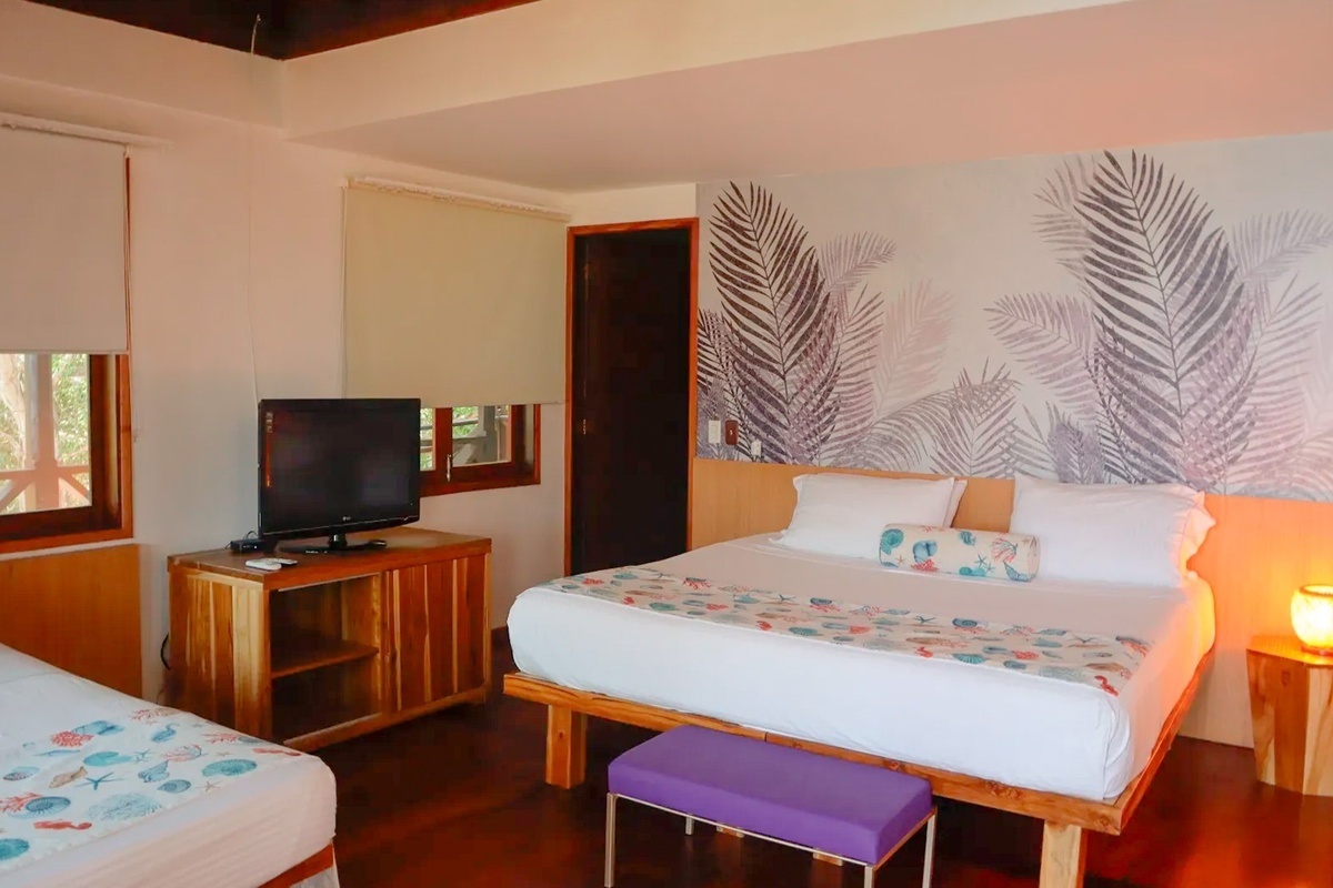 Habitación Estándar Plus