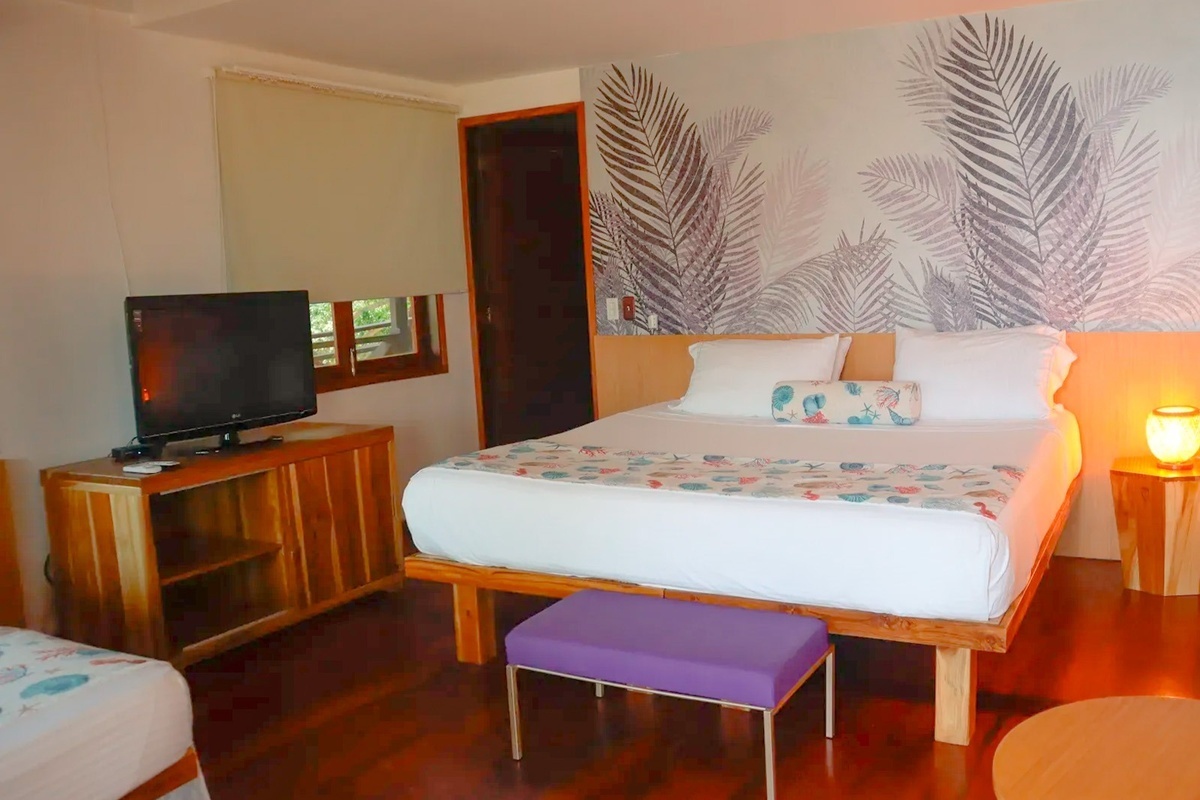 Habitación Estándar Plus