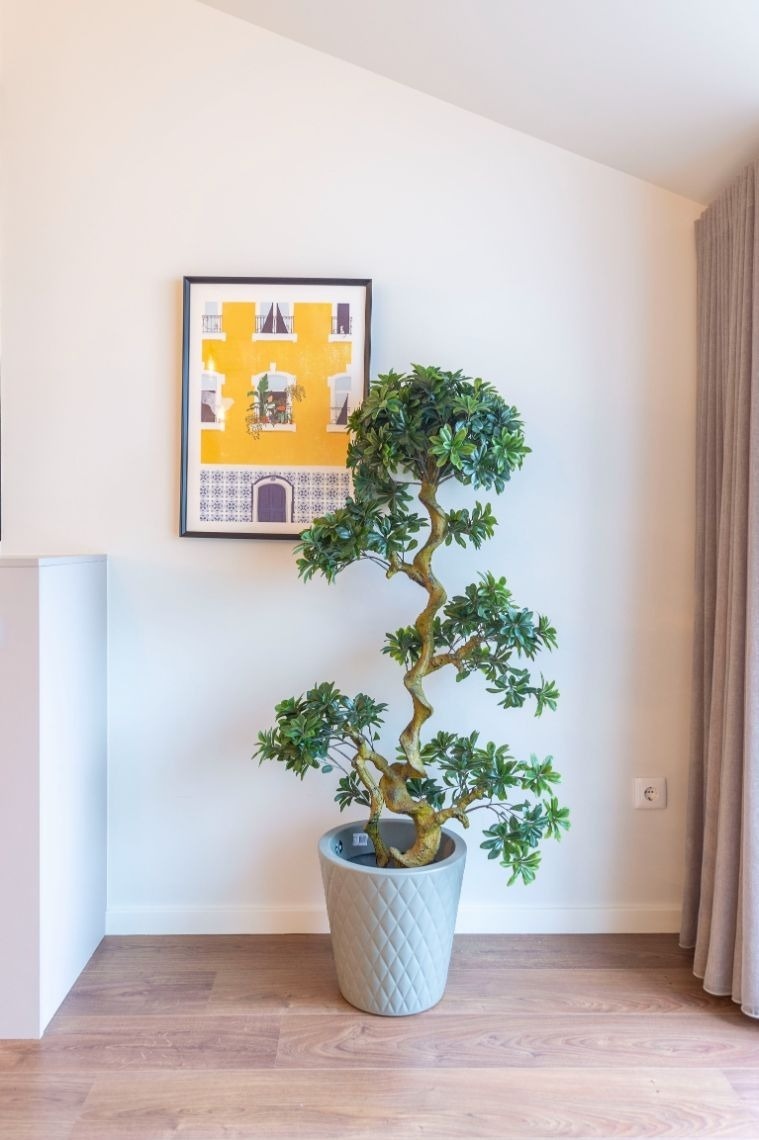 uma planta em um vaso em frente a uma parede branca