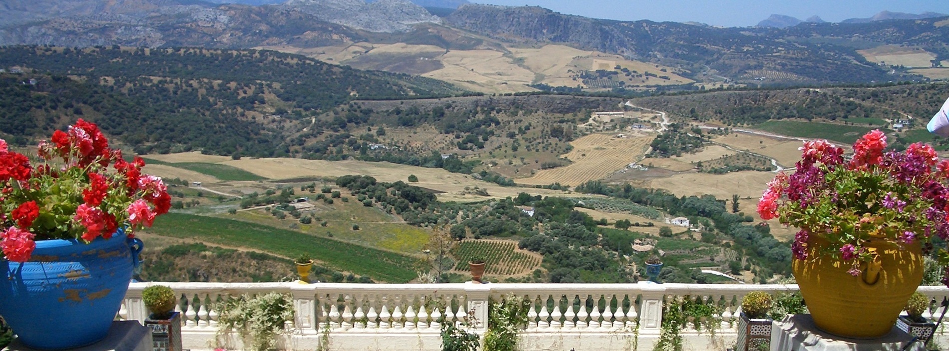 un balcón con flores y una vista de las montañas