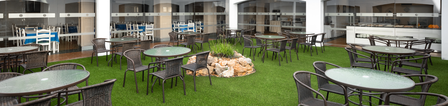 a dining area with tables and chairs and a plant in the middle