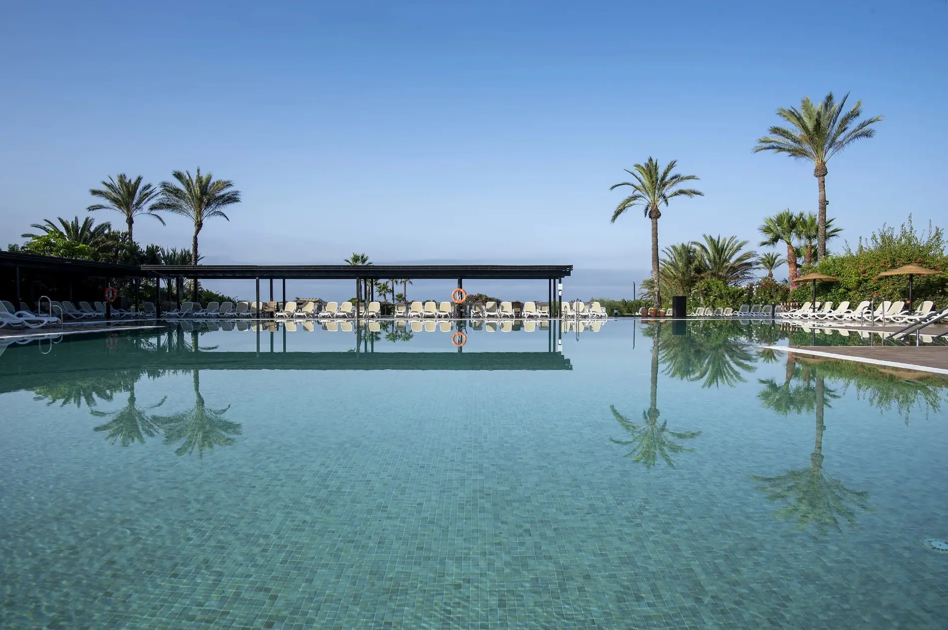 Infinity-Pool mit Palmen und Meerblick