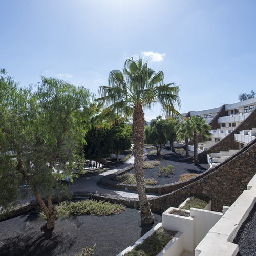 Jardines de Los Zocos Impressive Lanzarote con palmeras y piedra volcánica