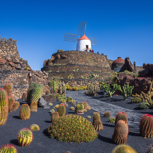 Jardín de Cactus de Lanzarote con su molino de viento