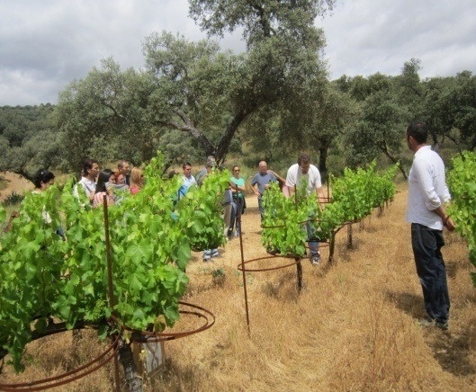 a group of people standing in a field with trees in the background