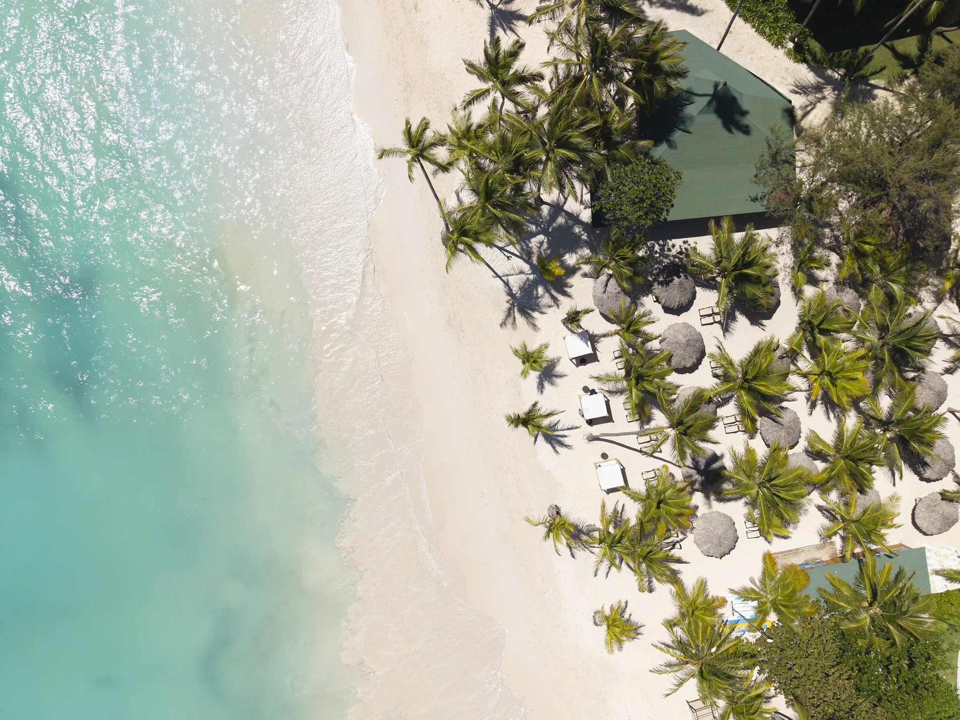 Vista aérea de una playa de arena blanca con palmeras y aguas turquesas