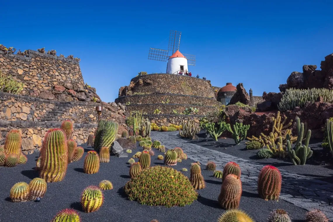 Jardín de Cactus de Lanzarote con su molino de viento