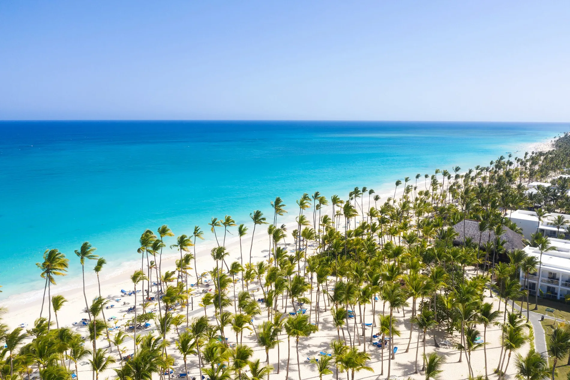 Vista aérea de la playa de Punta Cana con palmeras y resorts frente al mar turquesa