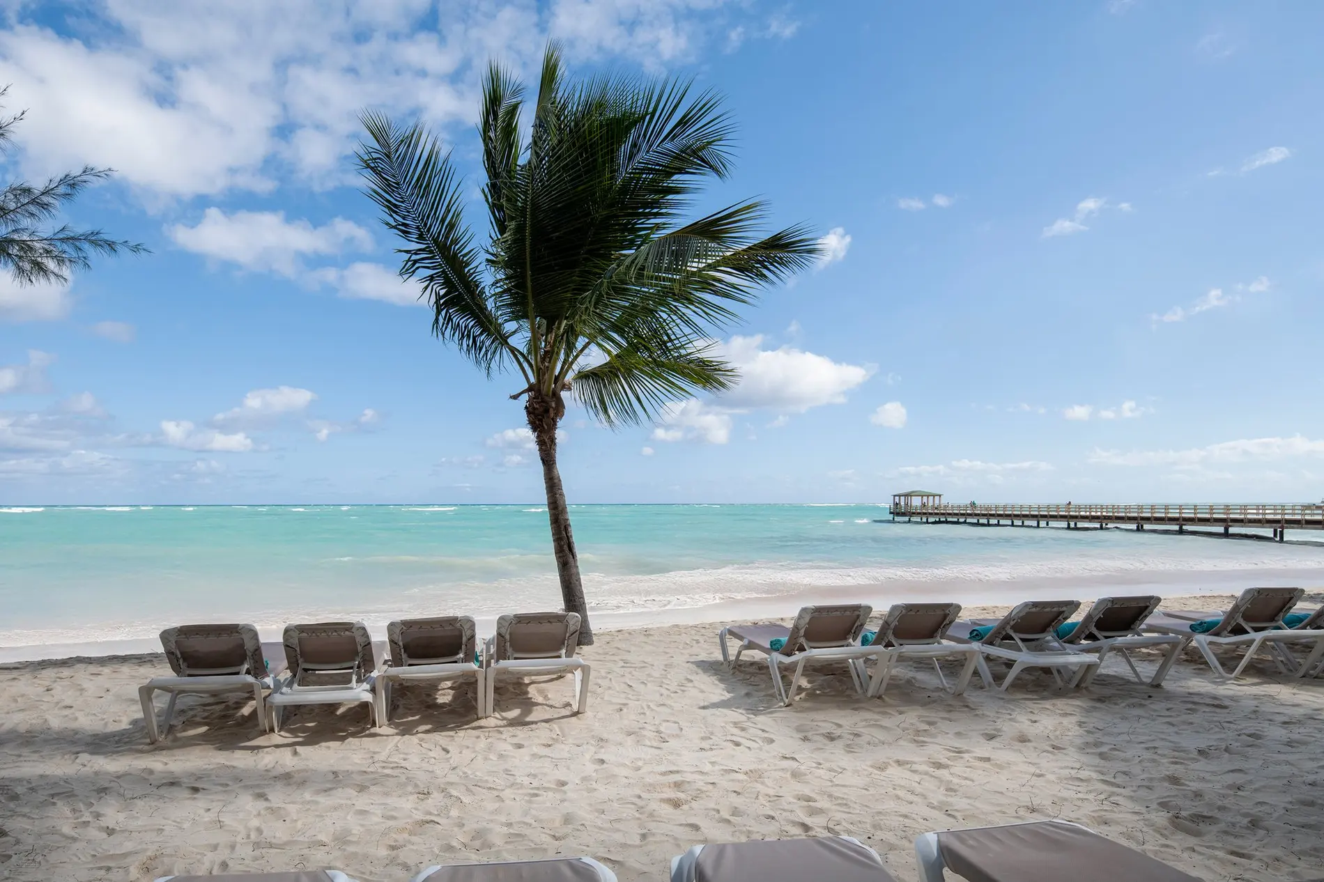 Palmera, tumbonas y embarcadero en la playa de Punta Cana