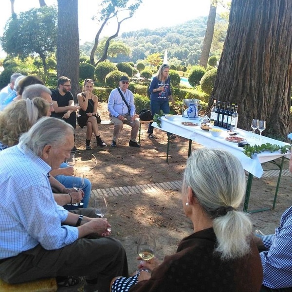 un grupo de personas están sentadas alrededor de una mesa con botellas de vino