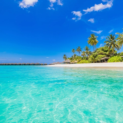 Playa de arena blanca y aguas turquesas con palmeras en Punta Cana