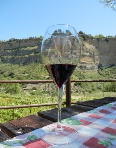 una copa de vino está sobre una mesa con un viñedo en el fondo