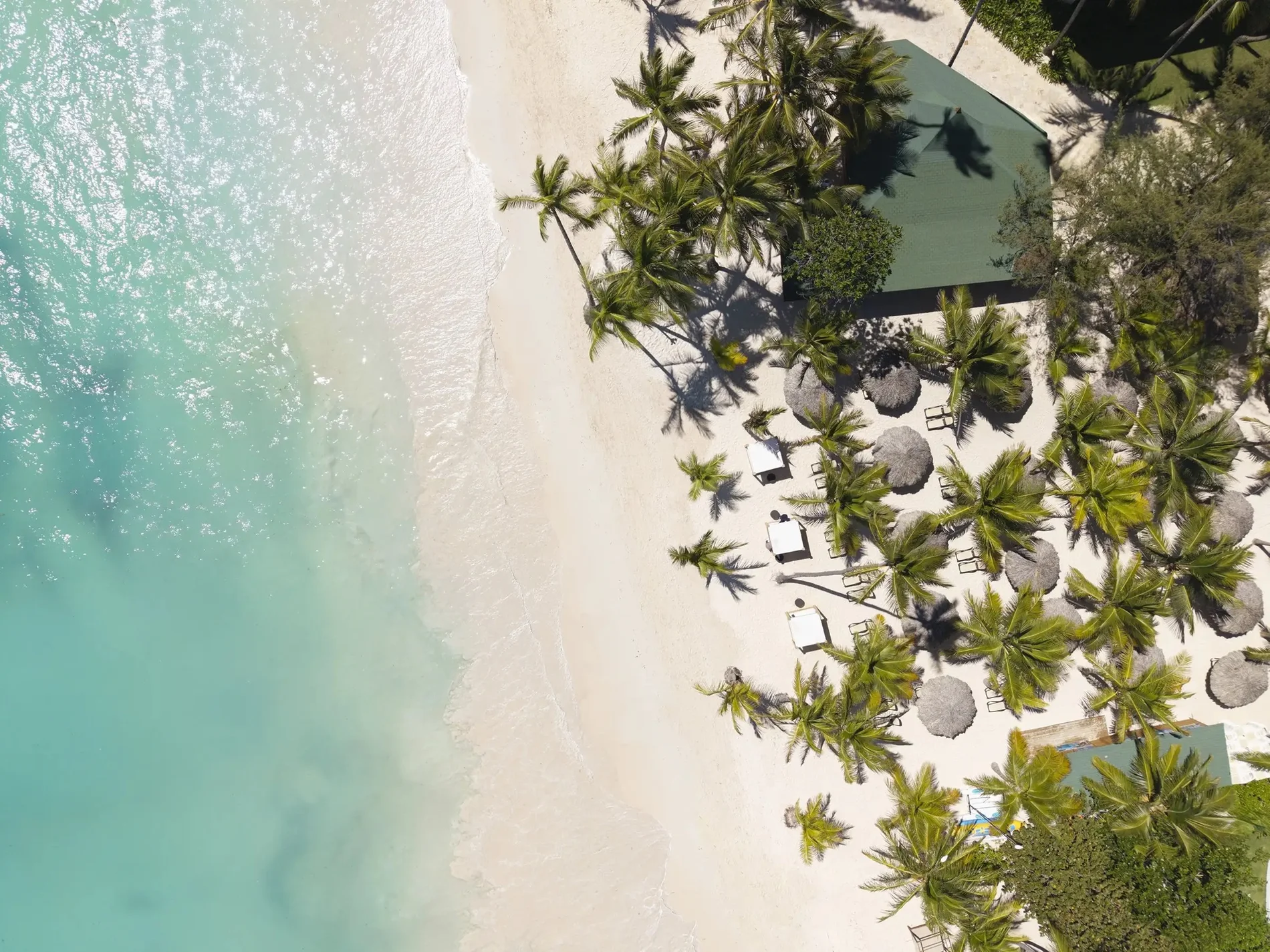Vista aérea de una playa de arena blanca con palmeras y aguas turquesas