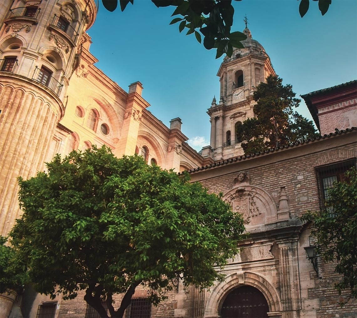 a building with a clock tower and a tree in front of it