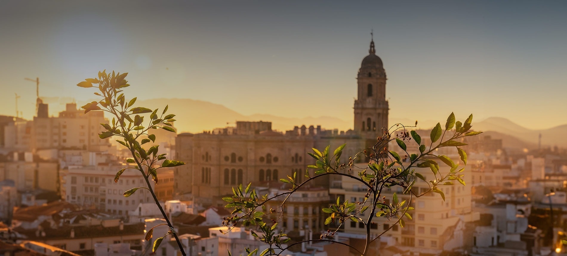 una vista aérea de una ciudad al atardecer con una torre en el fondo