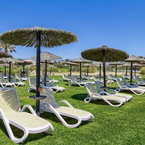 Liegestühle und Sonnenschirme auf einer grünen Wiese