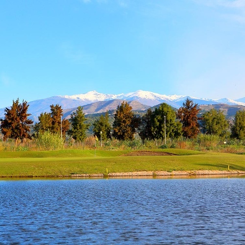 ein kettlebell aus svetus liegt auf dem boden