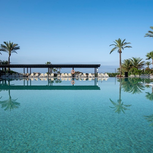 ein großer Swimmingpool mit Palmen im Hintergrund