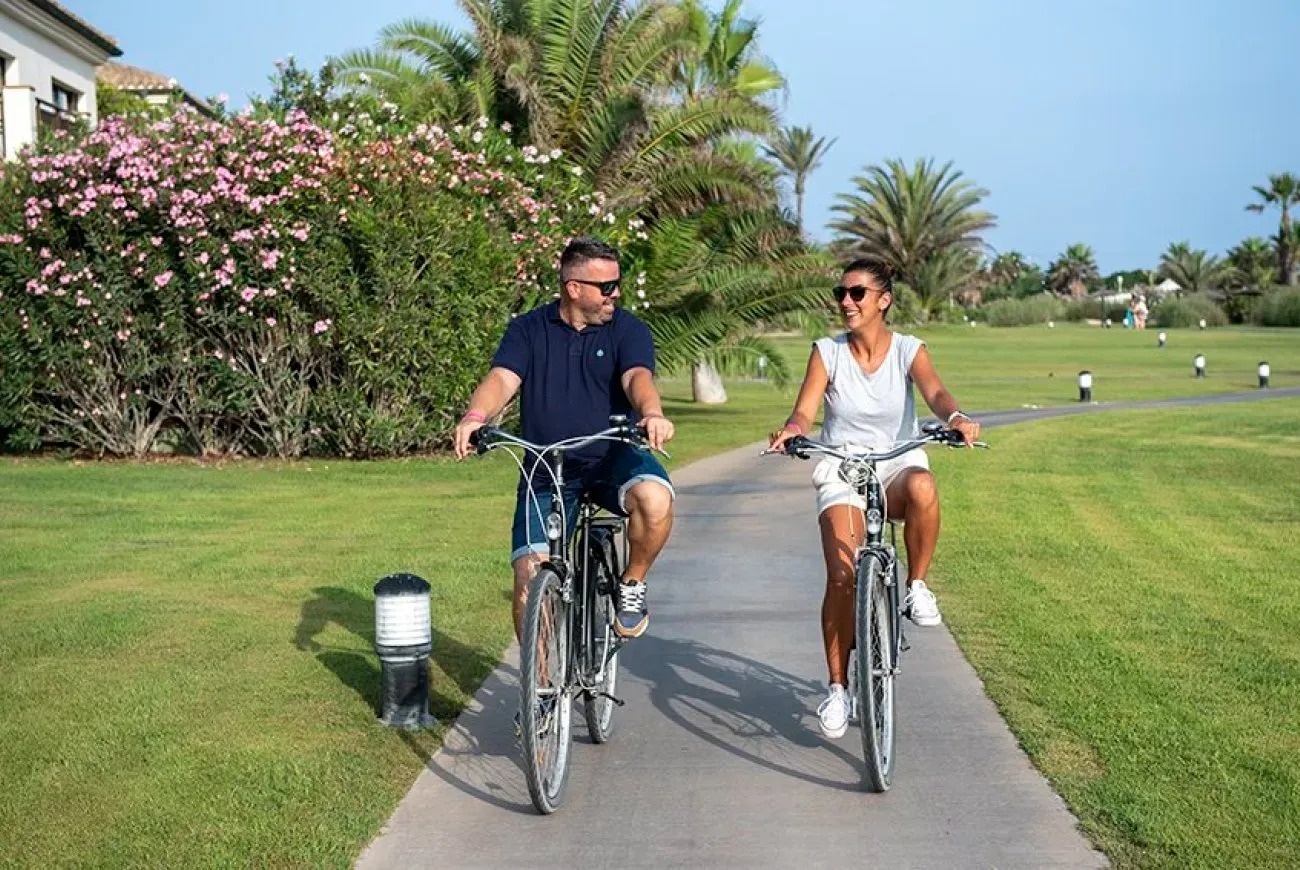 a roof with a lot of solar panels on it