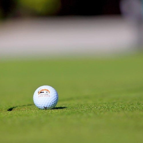 ein blauer golfball steht auf einem grünen rasen