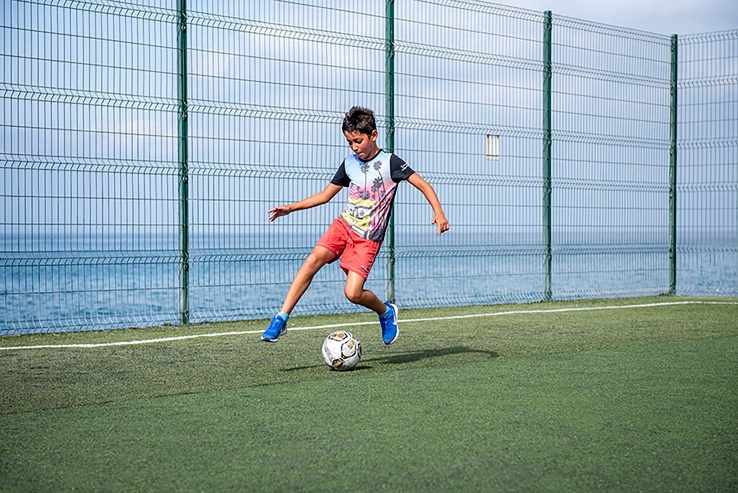 una playa con un árbol y un barco en el fondo