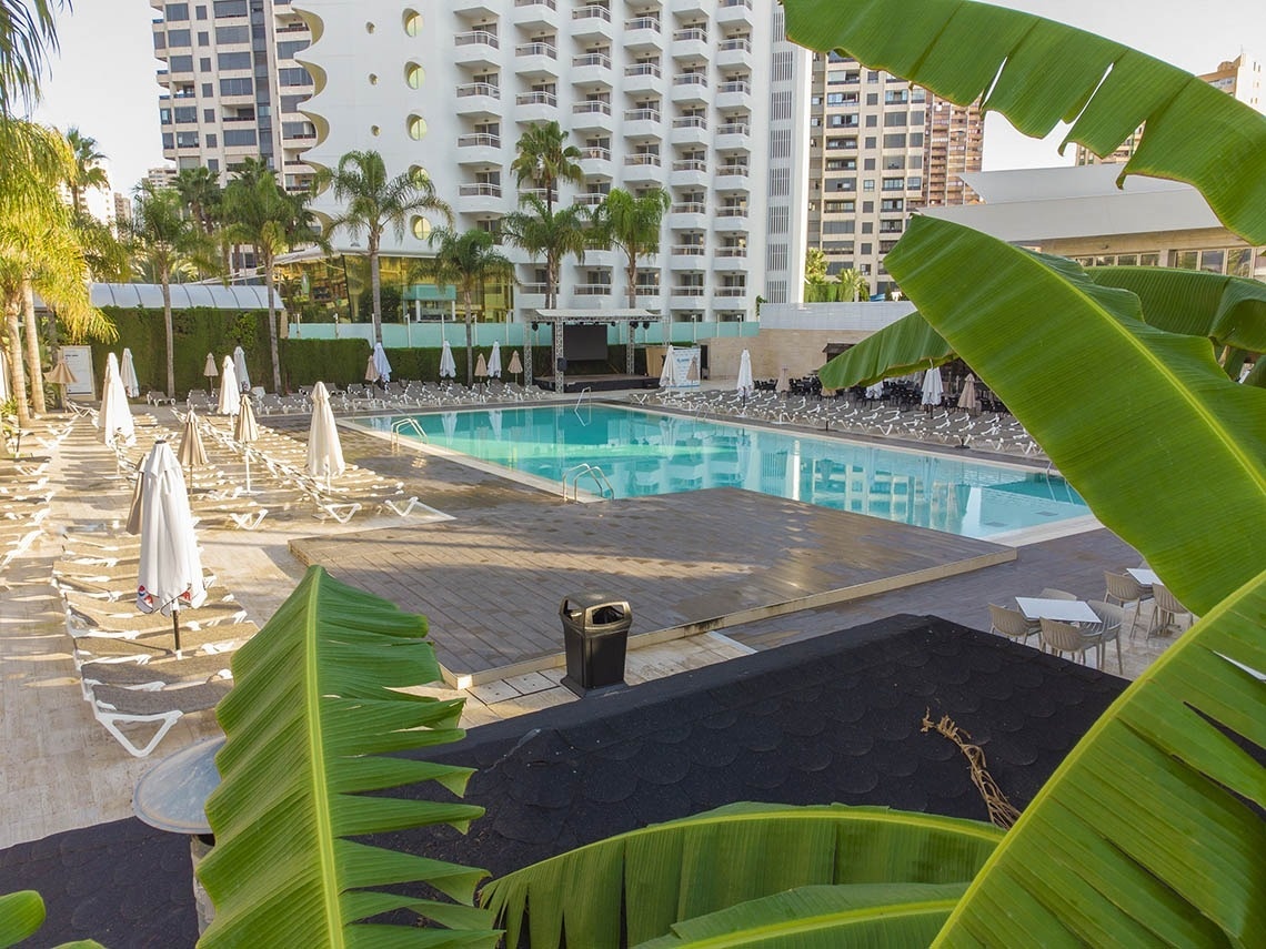una piscina rodeada de palmeras y sillas de playa