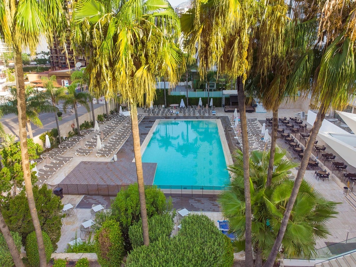 una vista aérea de una piscina rodeada de palmeras