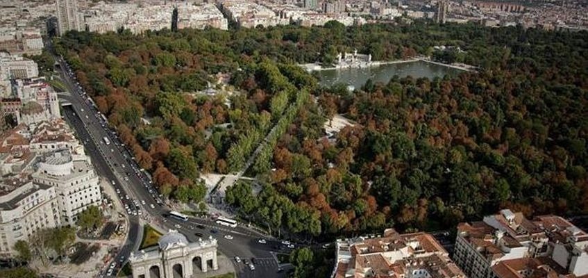 una vista aérea de un gran bosque rodeado de edificios y una ciudad .