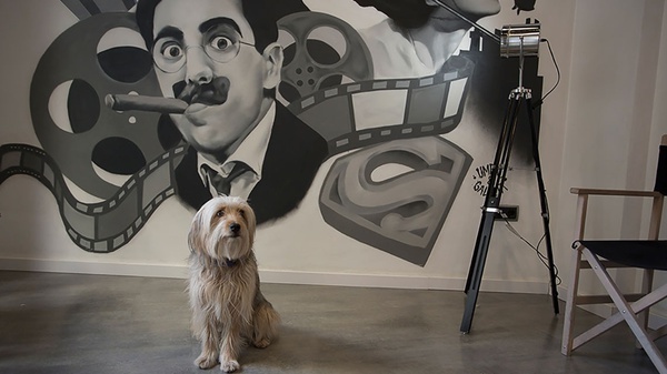 Pet friendly hotel or suitable for animals in the center of Valencia