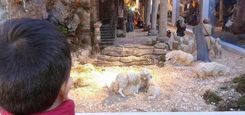 un niño está mirando una escena de la natividad con ovejas .
