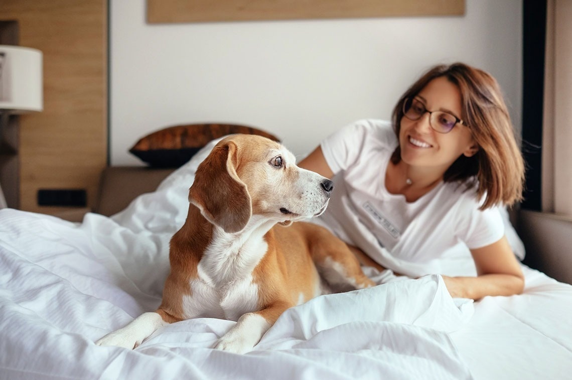 Mein Haustier braucht Urlaub
