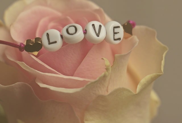Love bracelet on a pink rose, perfect for Hotel Acosta Ciudad de la Música.
