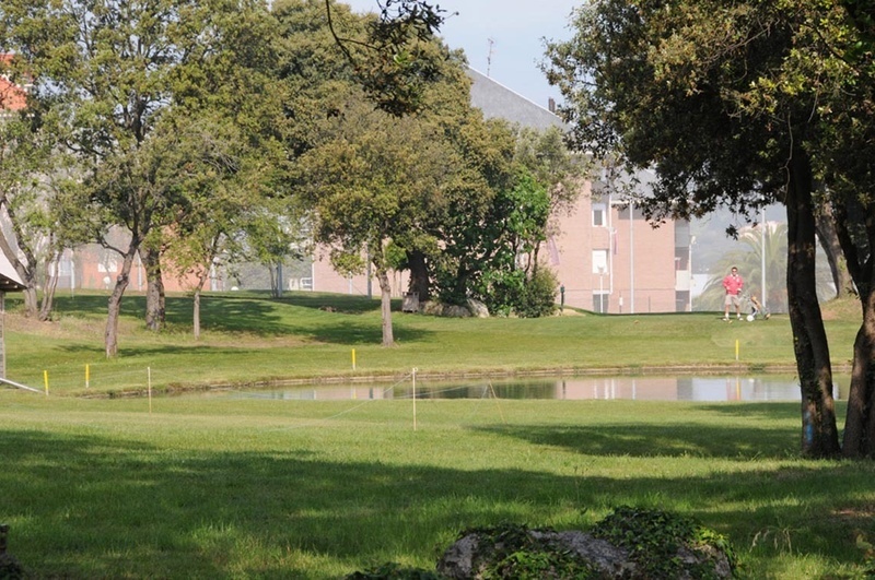 un hombre con un carrito de golf camina por un campo de golf