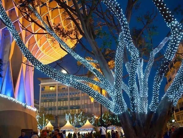un árbol cubierto de luces de navidad en una ciudad por la noche .