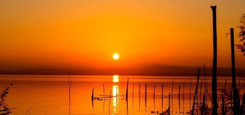 el sol se pone sobre un lago con un grupo de pájaros flotando en el agua .