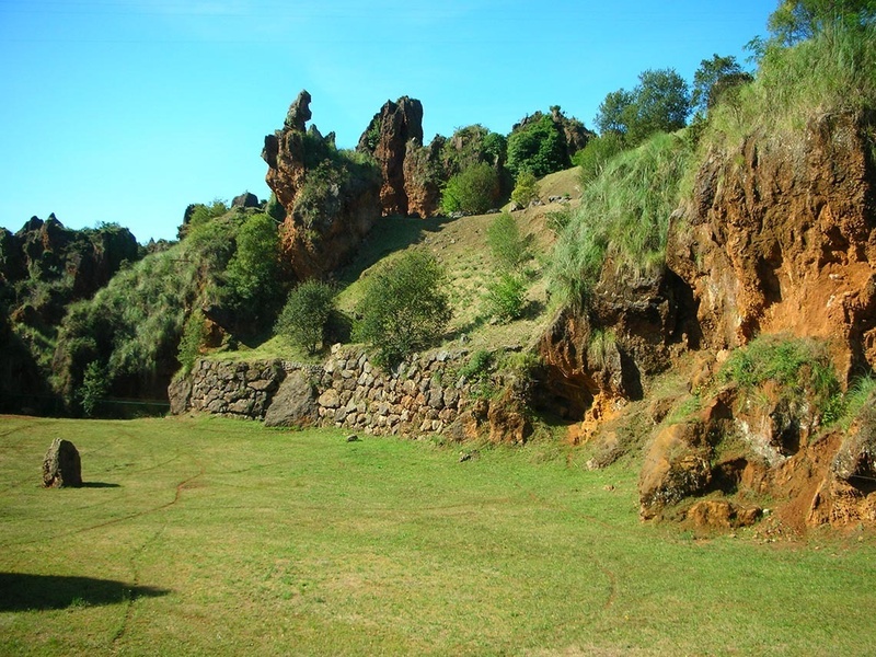 a grassy field with a rock wall in the background