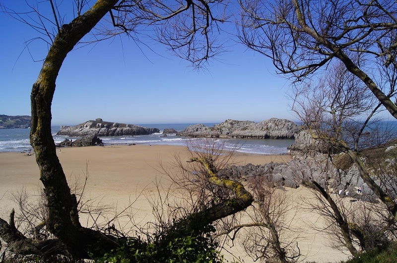 a beach with rocks and trees in the foreground