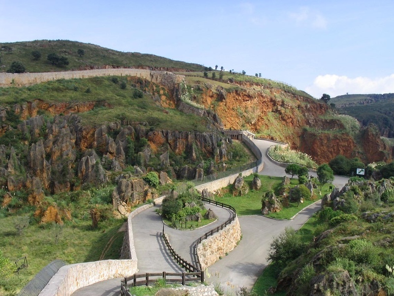 a narrow road winds through a lush green hillside