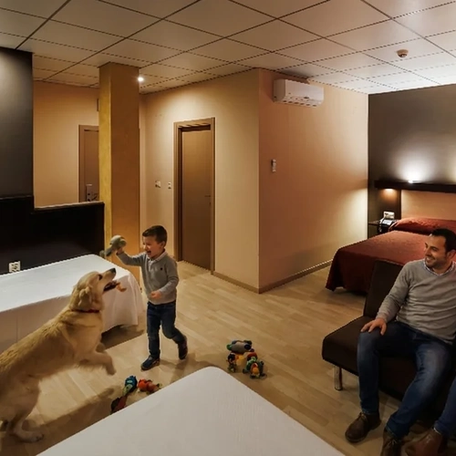 Family with dog playing in a hotel room Hotel Acosta Ciudad de la Música, with comfortable beds and seating.