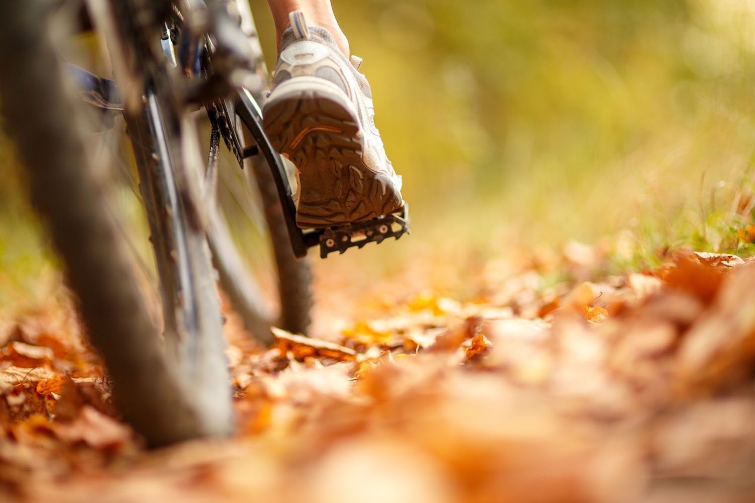 a person riding a bike on a trail with leaves